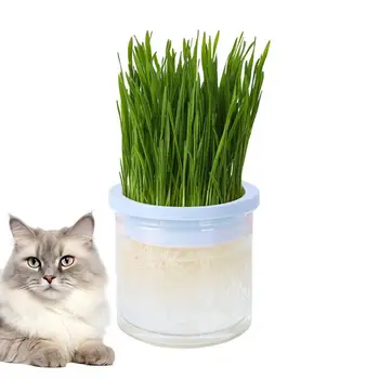 Блюдо Для выращивания ростков для домашних кошек, Горшок для выращивания Гидропонных растений, Блюдо для проращивания Кошачьей травы, Прозрачный Ящик для выращивания в теплице
