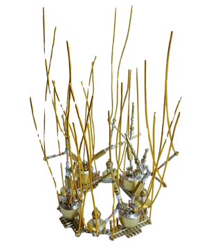 852шт 3D Механический металлический Коралловый набор моделей Серии Ocean Глубоководные животные Игрушка для сборки своими руками Креативные Украшения Подарки для детей и взрослых